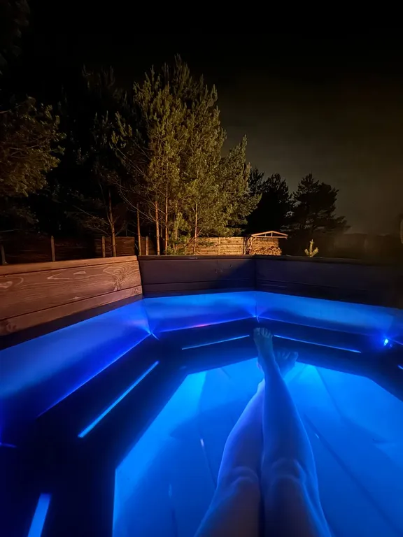 Дом с баней и банным чаном на краю соснового леса