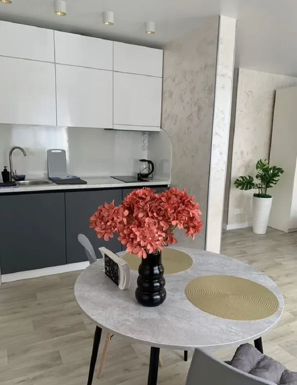 Новая квартира в центре города