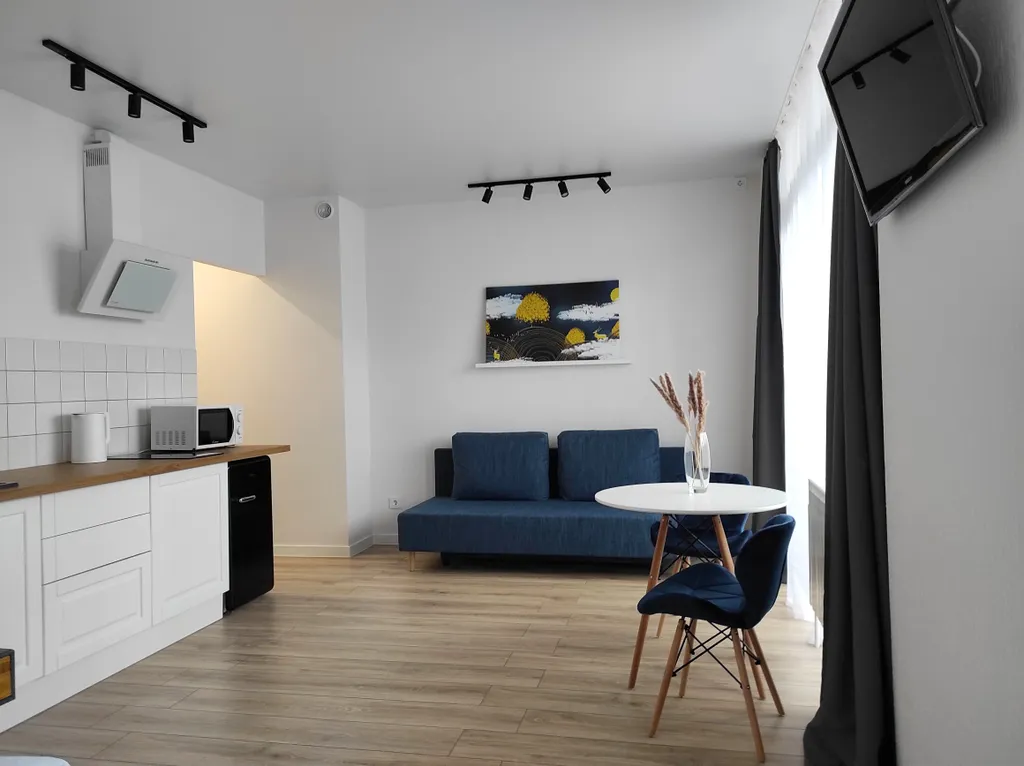 Современная сканди-студия с кондиционеромв 5 минутах на авто от центра