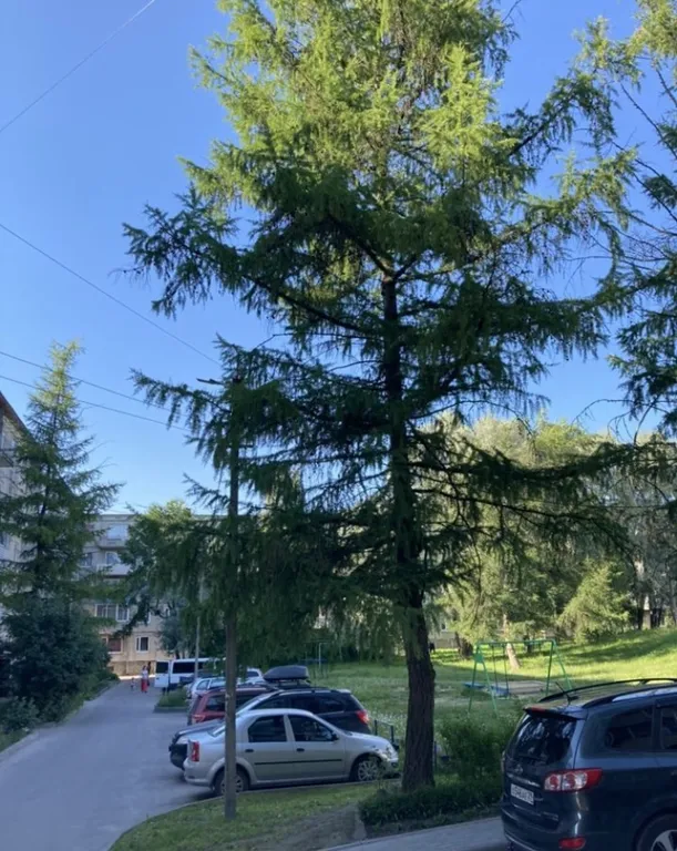 Квартира с видом на Рускеальский Экспресс и ранним заселением