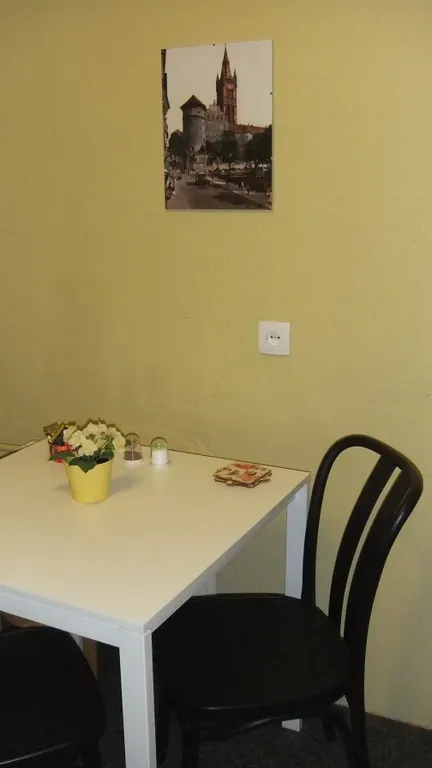 Уютная однокомнатная квартира в самом центре Калининграда