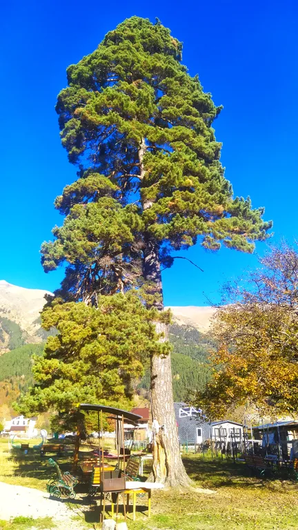 Квартира Комната — Архыз