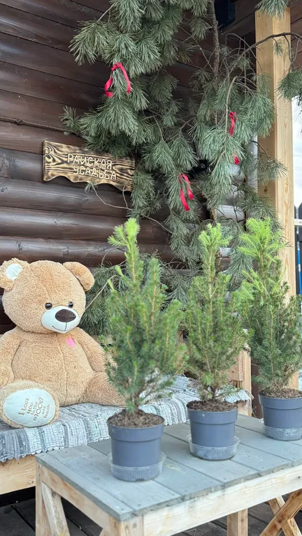 Уютный коттедж с видом на горы