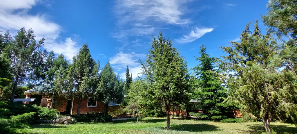 Коттедж Дом 3 спальни, большой двор беседка мангал усадьба Можжевеловый дворик — Айвовое