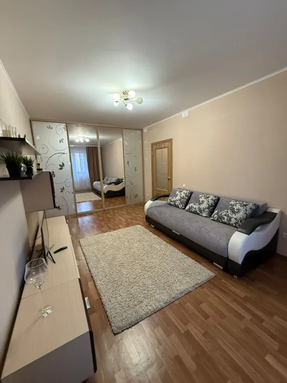 Уютная однокомнатная квартира в центральном округе