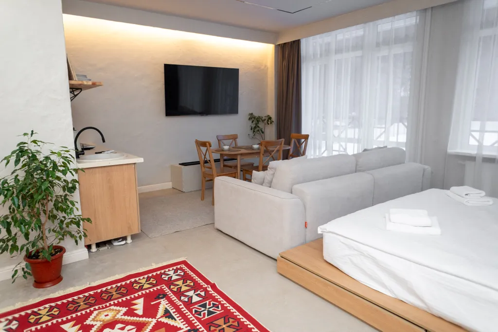 Просторный апартамент с кухней