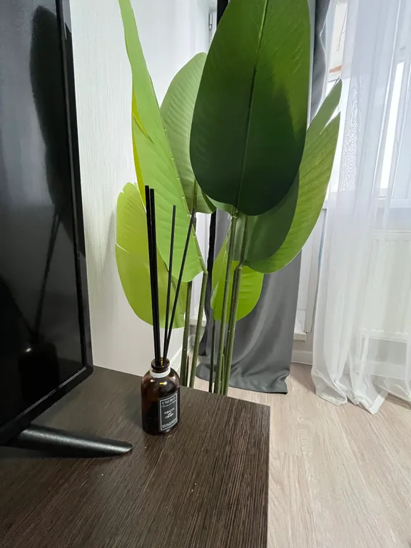 Oчeнь уютная студия для двоиx гоcтей