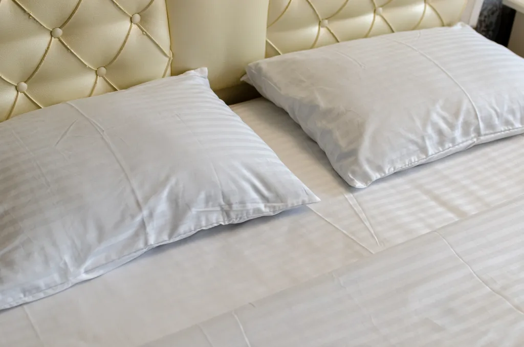 Апартаменты с видом на Кремль, в шаговой доступности пешком 10 минут