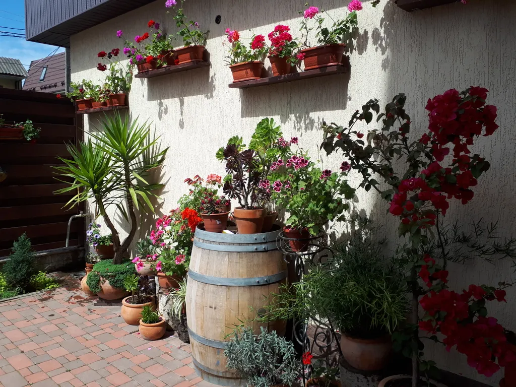 Квартира 1-комнатная Квартира — Сириус