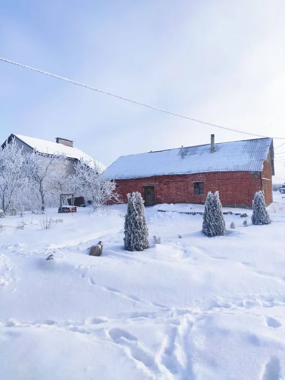 Загородный дом Вдали - идеальный баланс комфорта и природы