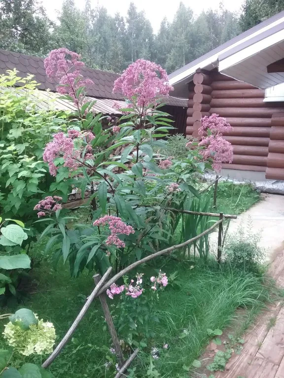 Изба Охотничья