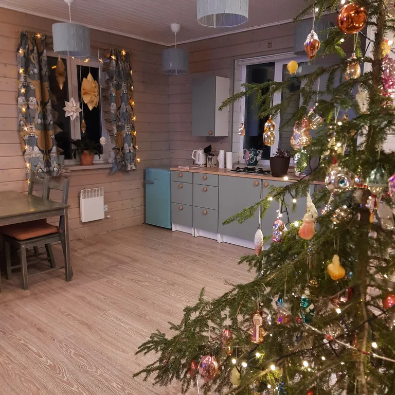 Коттедж Домик под соснами в Свирском — Лодейное Поле