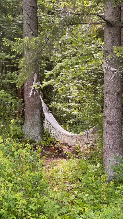Коттедж Дом с панорамным видом на лес и горячей купелью — Ломоносов