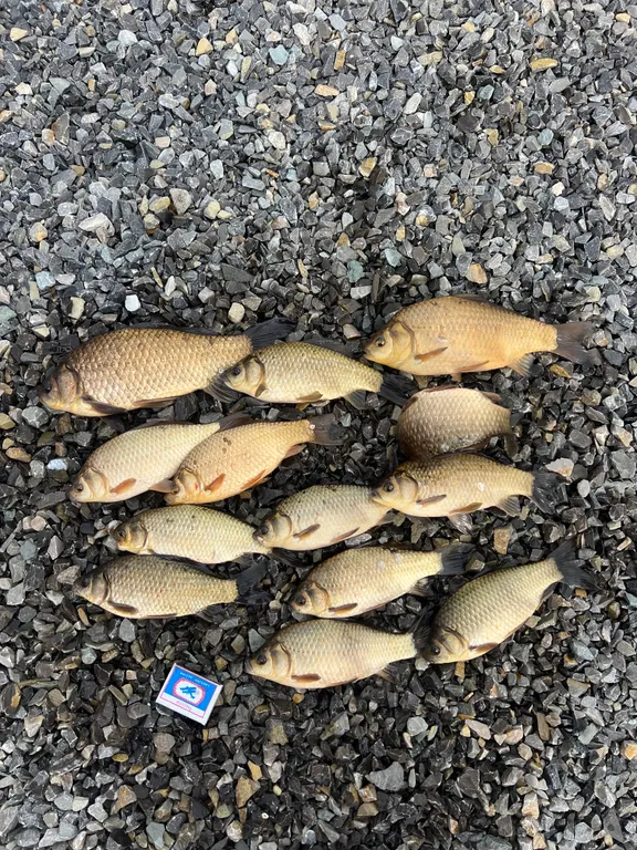 Теплый домик на берегу озера с баней и чаном