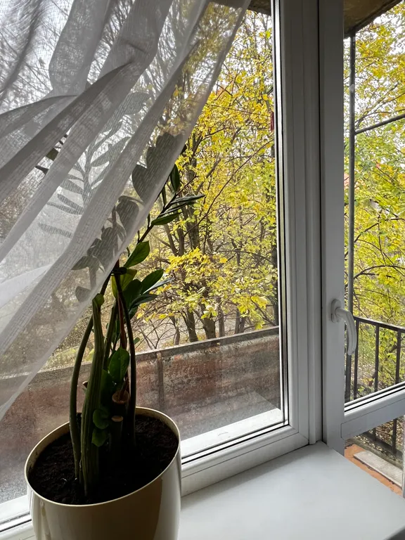 Амалиенау 3