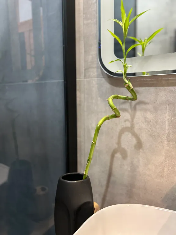 Апартамент в заповеднике с видом на море