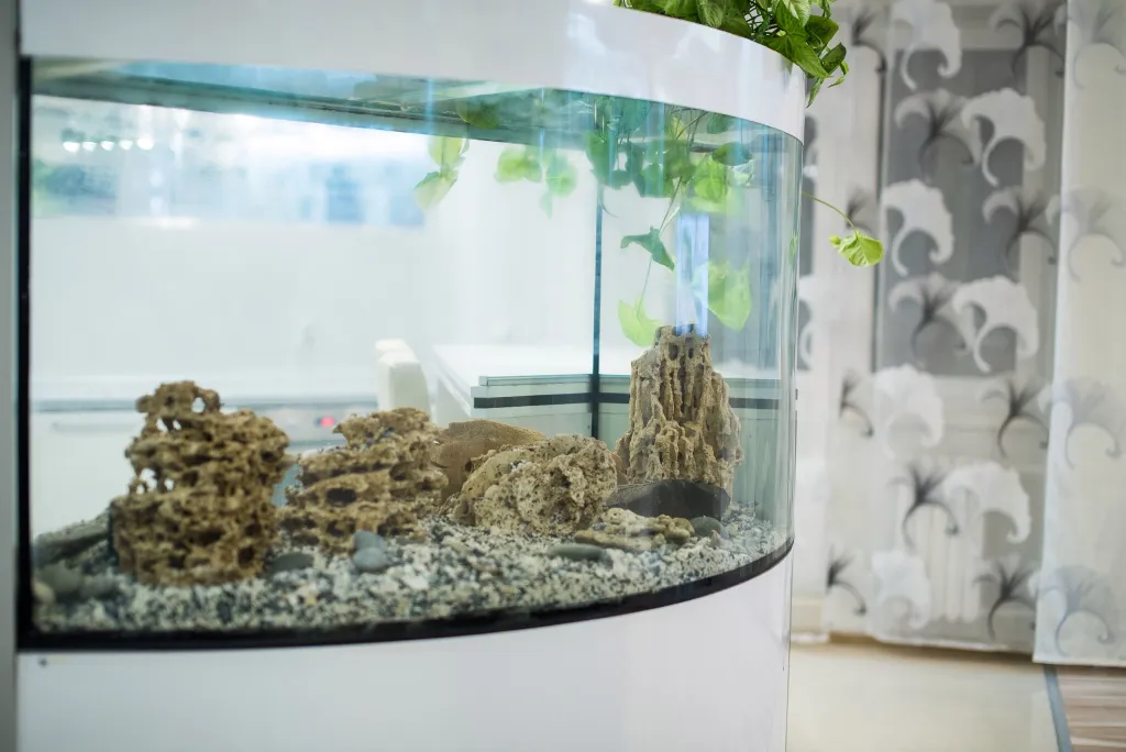 Современная квартира в центре