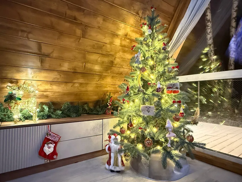 Уютный афрейм в березовом лесу