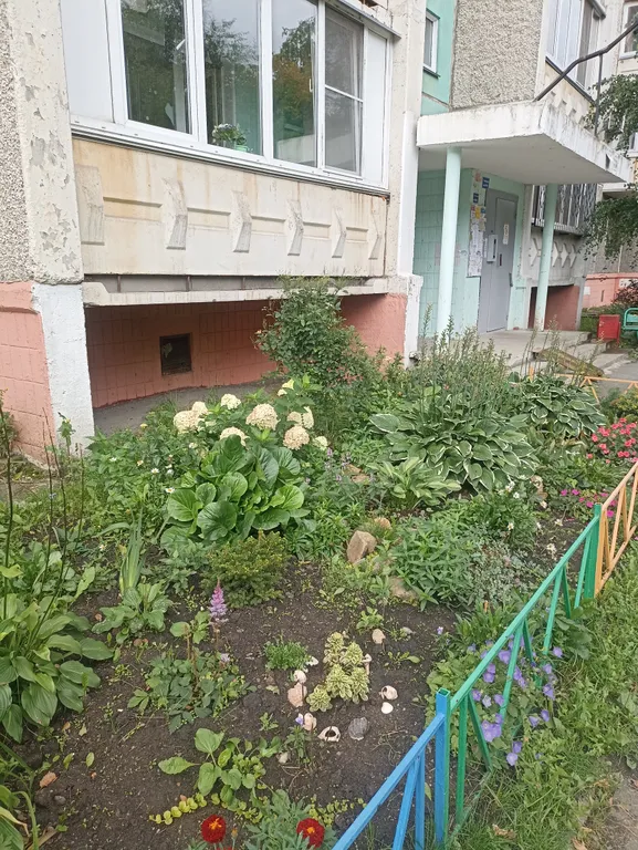 Комната в квартире