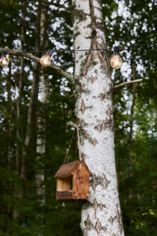 Дом в лесу рядом с озером