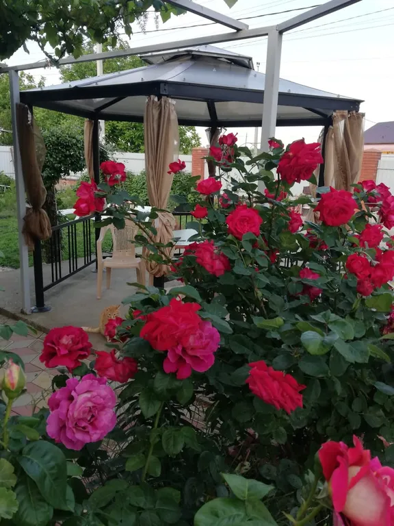 Этаж под ключ с кухней