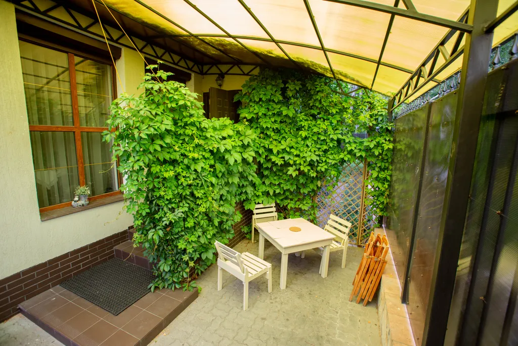 Квартира 1-комнатная Квартира — Светлогорск