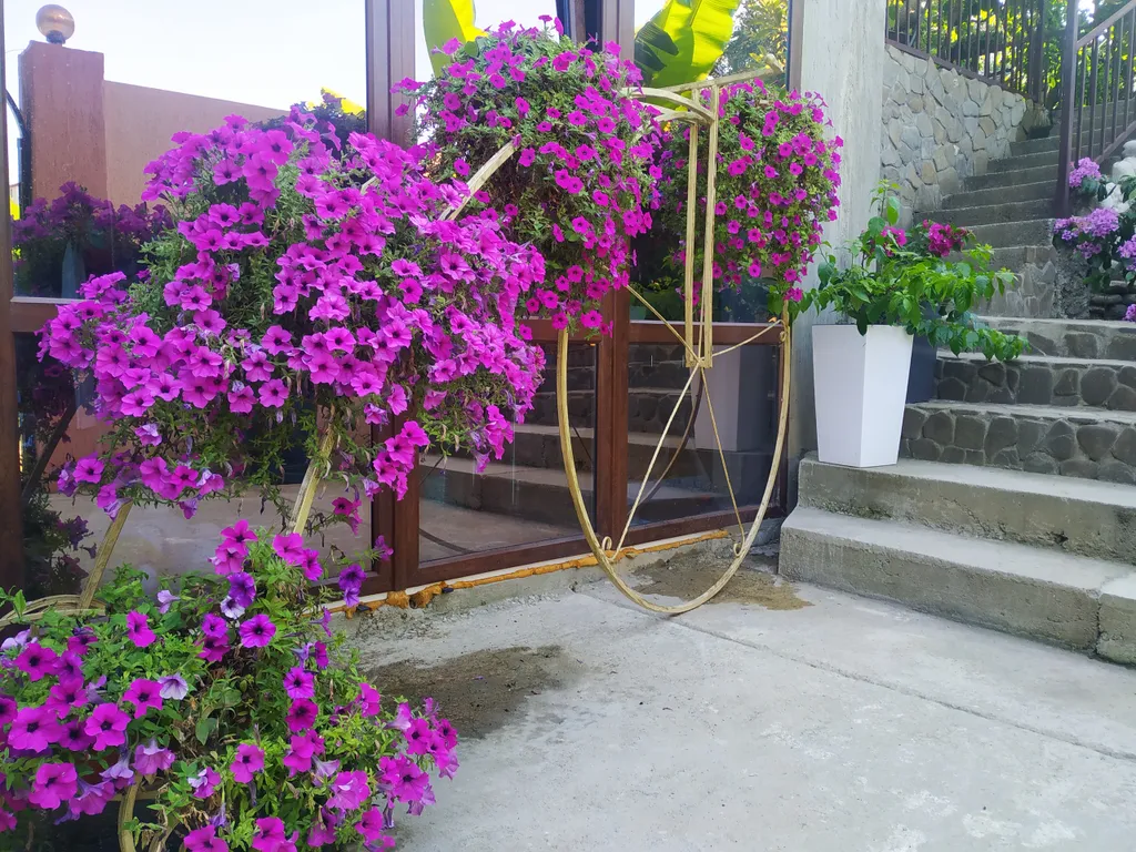 Квартира Комната — Сочи