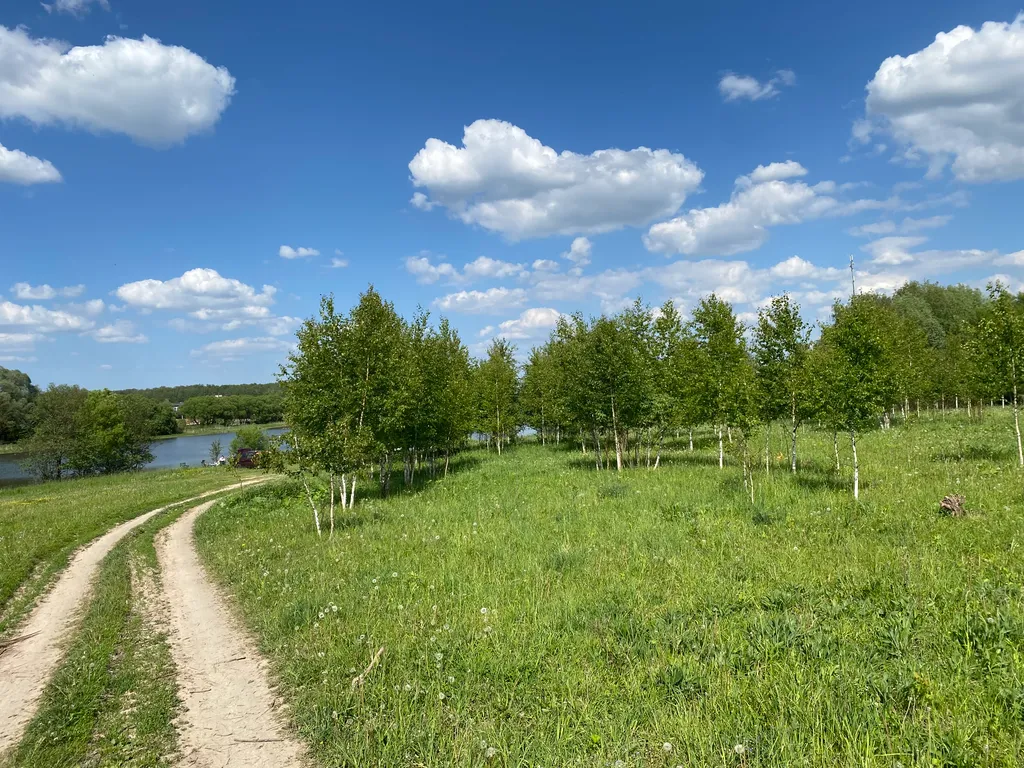 Уютный домик для семьи или компании друзей с банькой и xbox