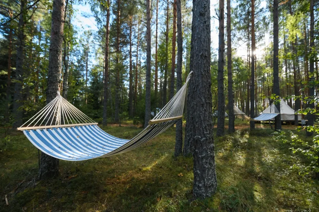 Гостевой дом на 6 номеров на компанию до 12 взрослых и 2 детей