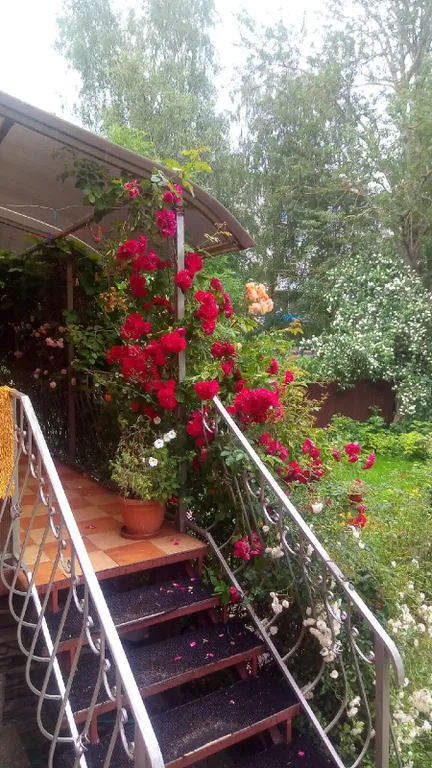 Целый этаж особняка