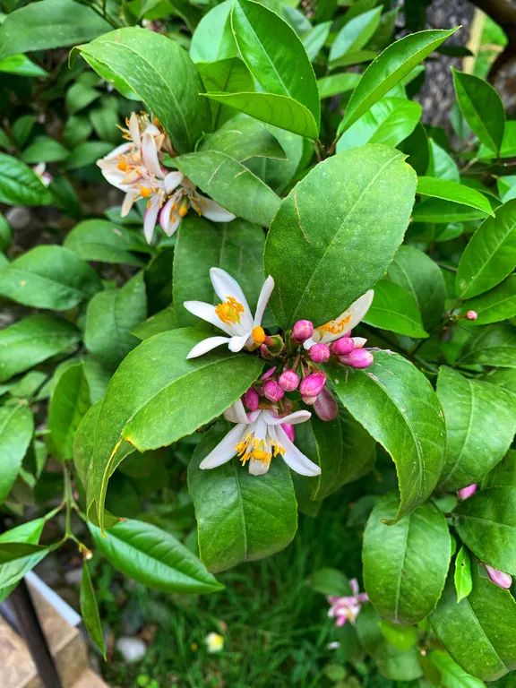 Домик 1-комнатный 3-местный