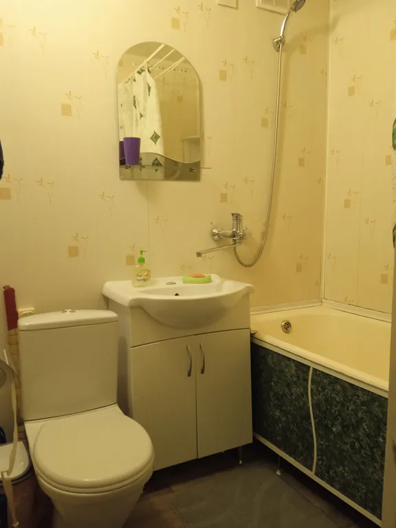 Апартамент от Елены на Театральной