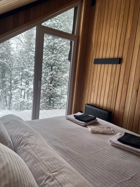 Дом в лесу на 8 человек