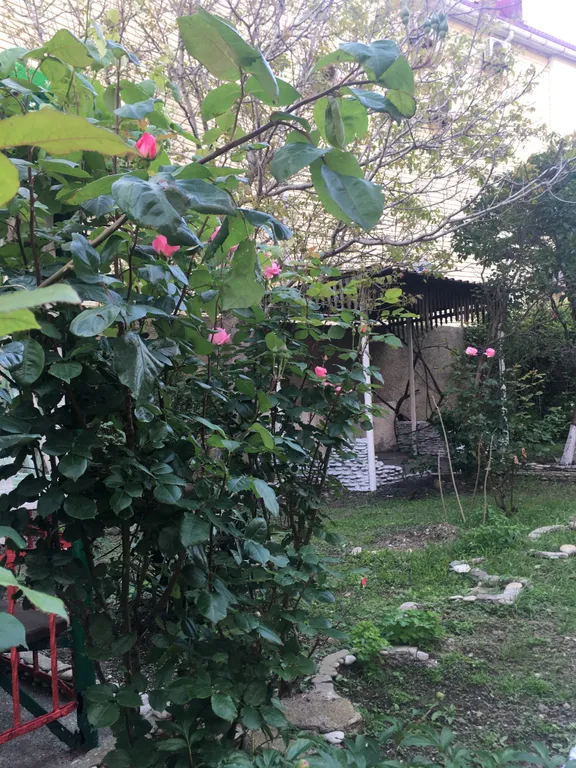 Коттедж у моря