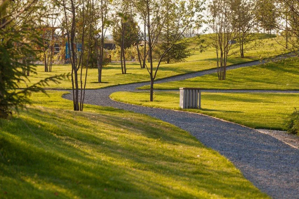 Студия супер чемпионов