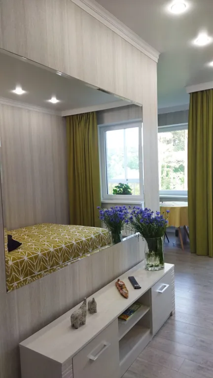 Квартира Уютная студия с шикарным видом на сосновый бор — аренда посуточно в Светлогорск