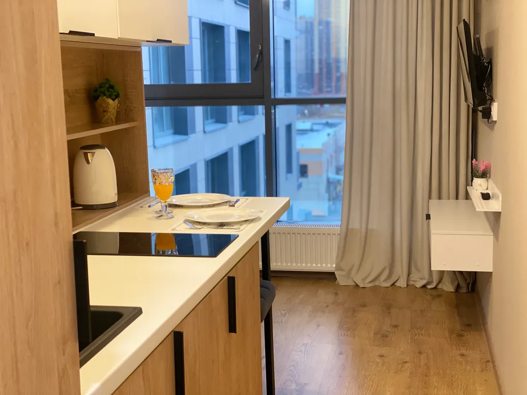 Уютная студия на Парнасе