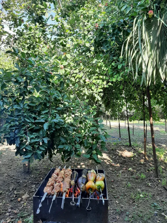 Дoмик с зеленым садом