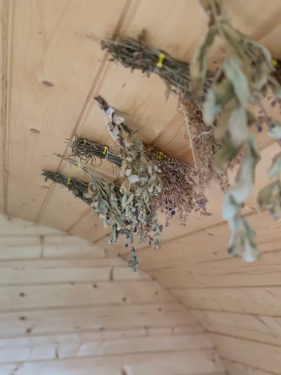 Дом с баней и чаном