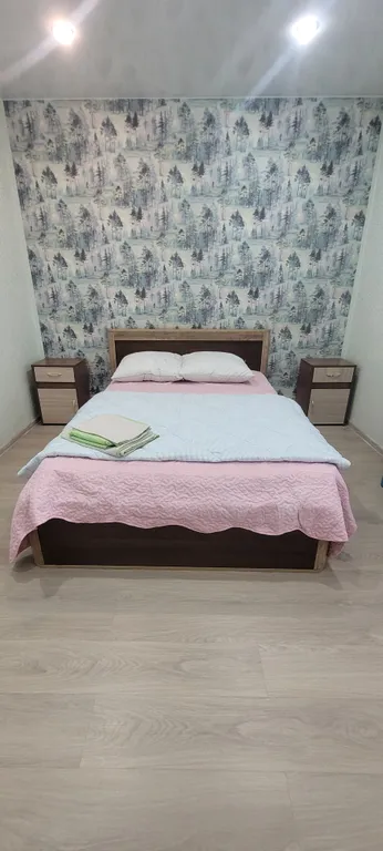 Уютная квартира на Смолина