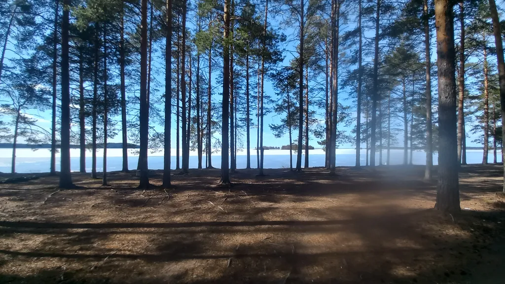 Первая линия Сямозера