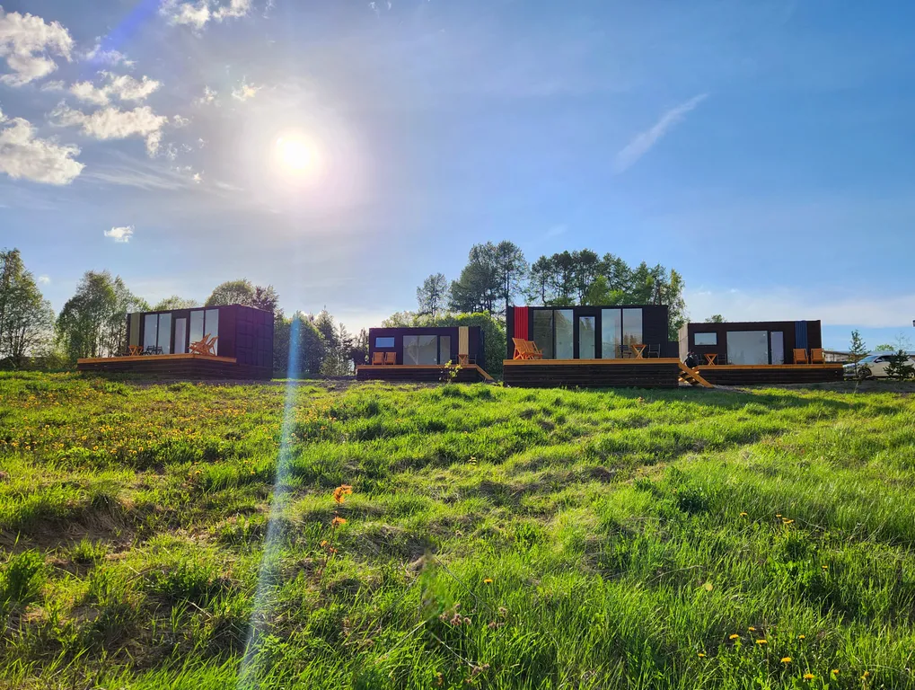 Дом с березками