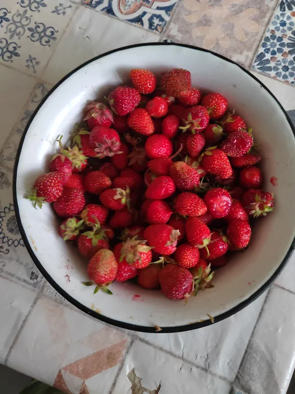 Дом юрьевский хуторок в 5 километрах от парка кудыкина гора, пешком река дон