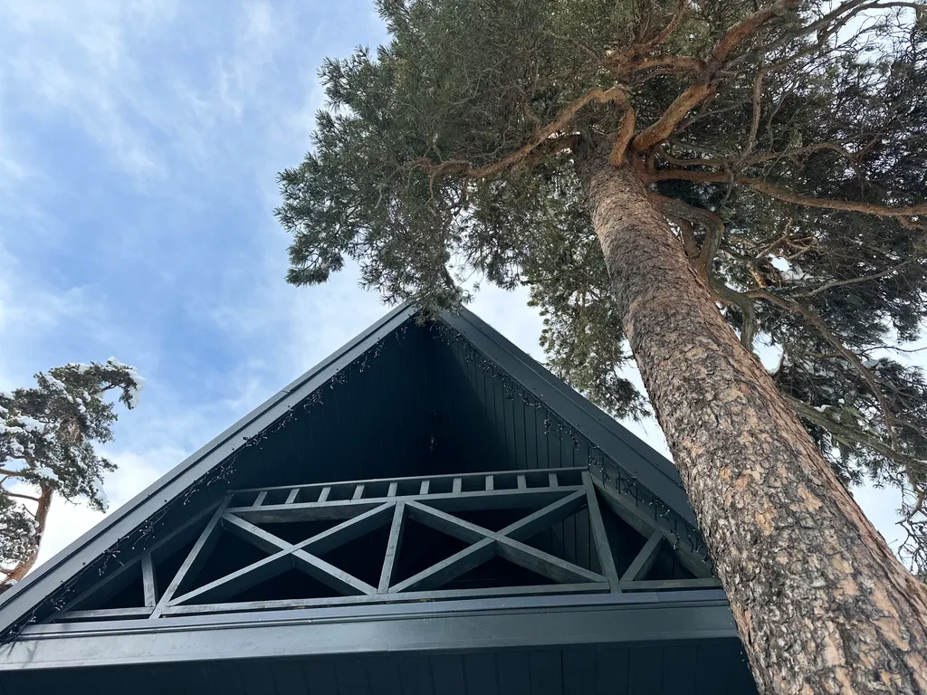 А-фрейм с видом на горы и лес