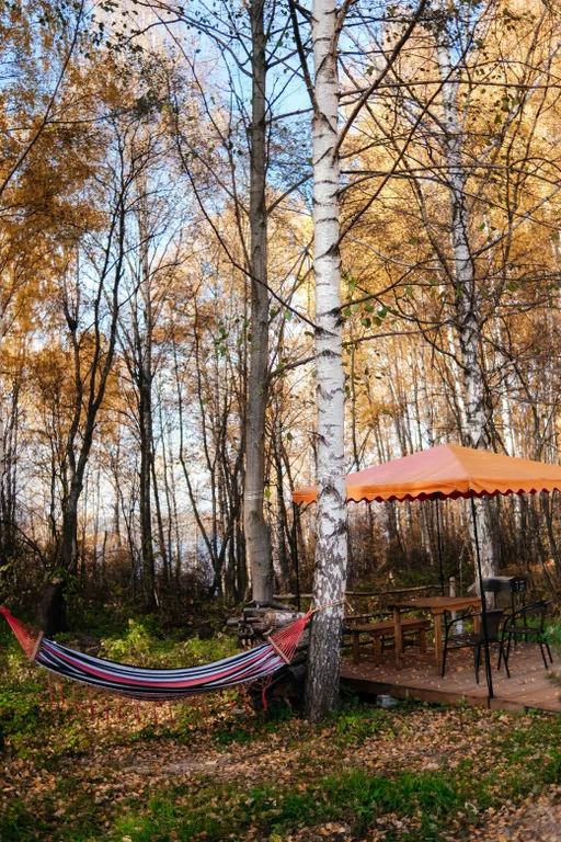 Уютные дома из дерева на берегу Волги