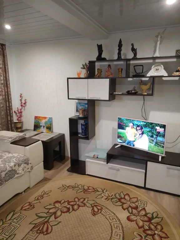 Уютная квартира в городе. — аренда посуточно в Шадринск