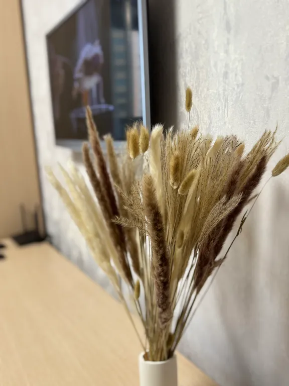 Студия рядом с метро