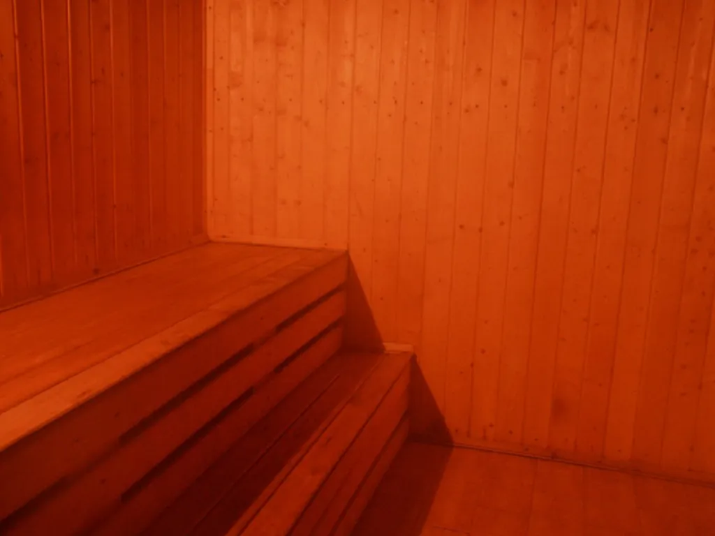 Дом с русской баней