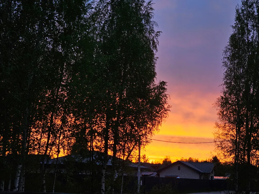 Дом-шалаш(один) с видом на лес