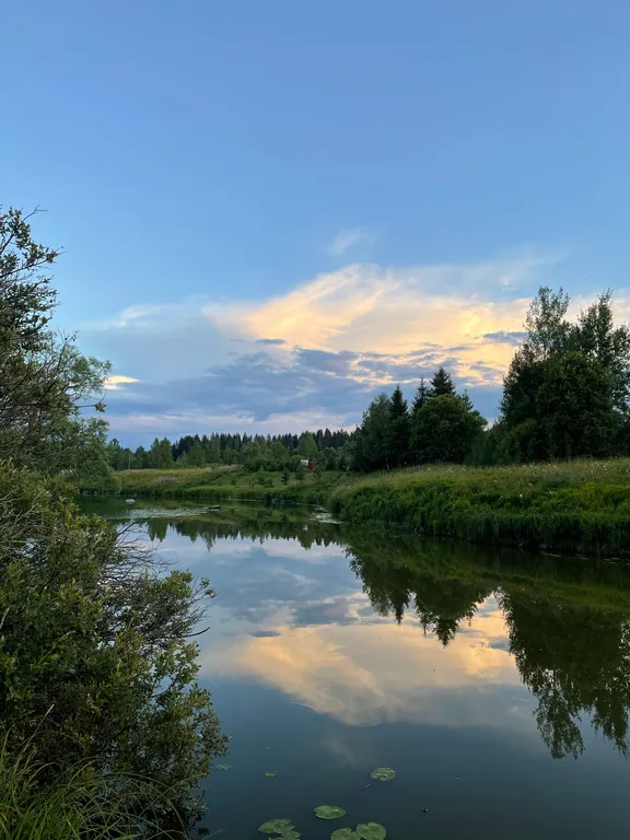 Глэмпинг Ракита